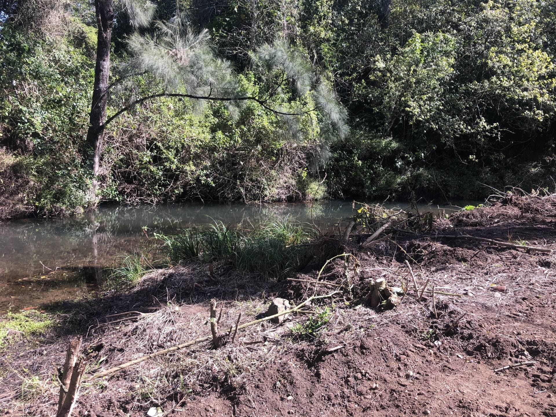 195 Boundary Creek Road, Bentley - Thumbnail 2