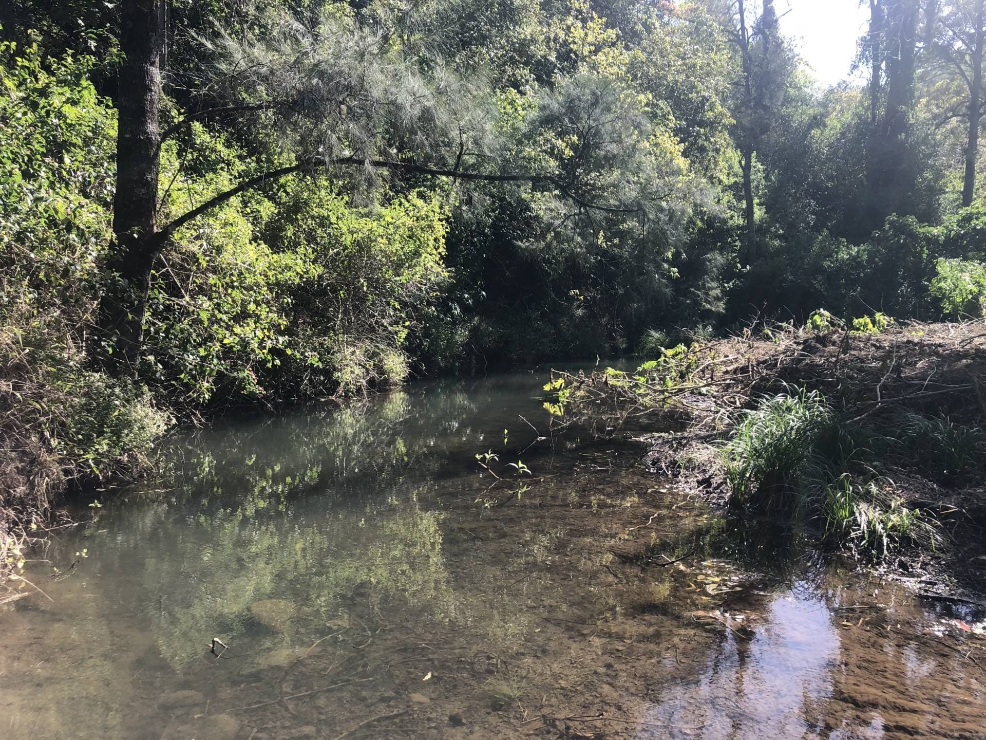 195 Boundary Creek Road, Bentley - Thumbnail 3
