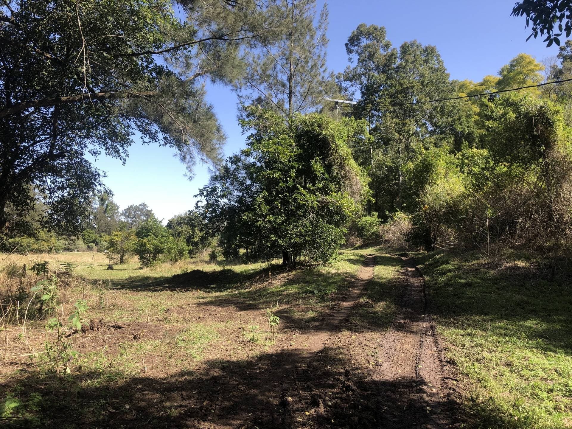 195 Boundary Creek Road, Bentley - Thumbnail 4