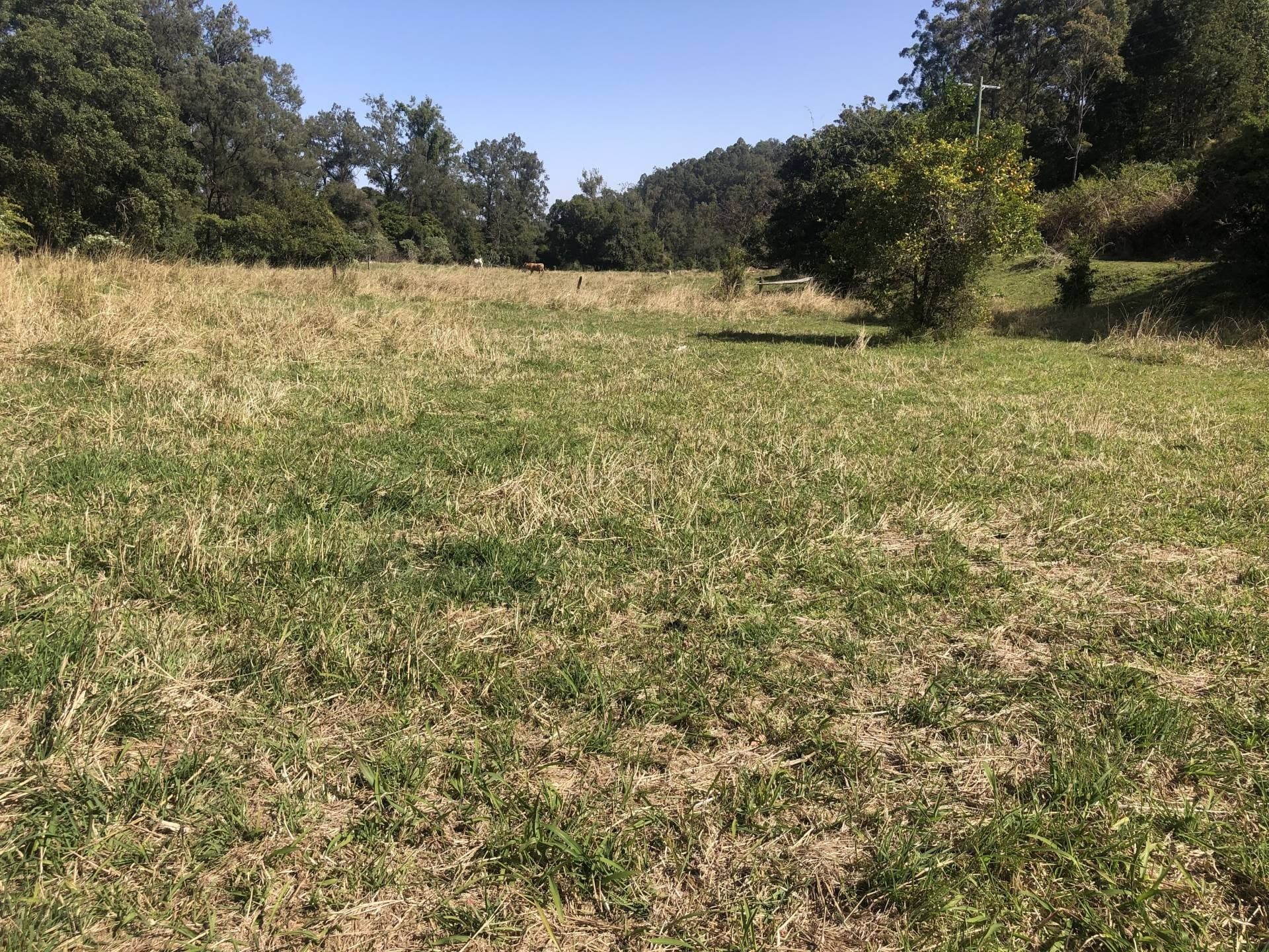 195 Boundary Creek Road, Bentley - Thumbnail 5