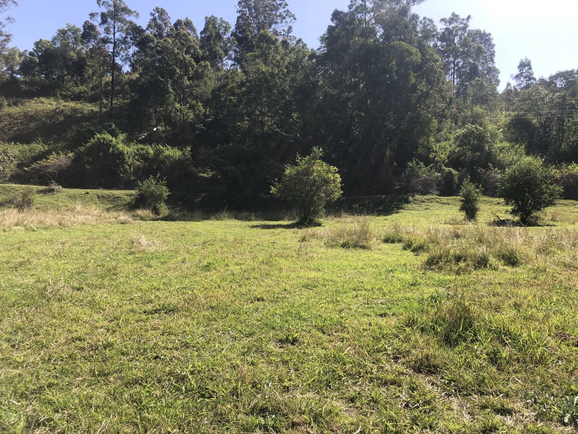 195 Boundary Creek Road, Bentley - Thumbnail 6