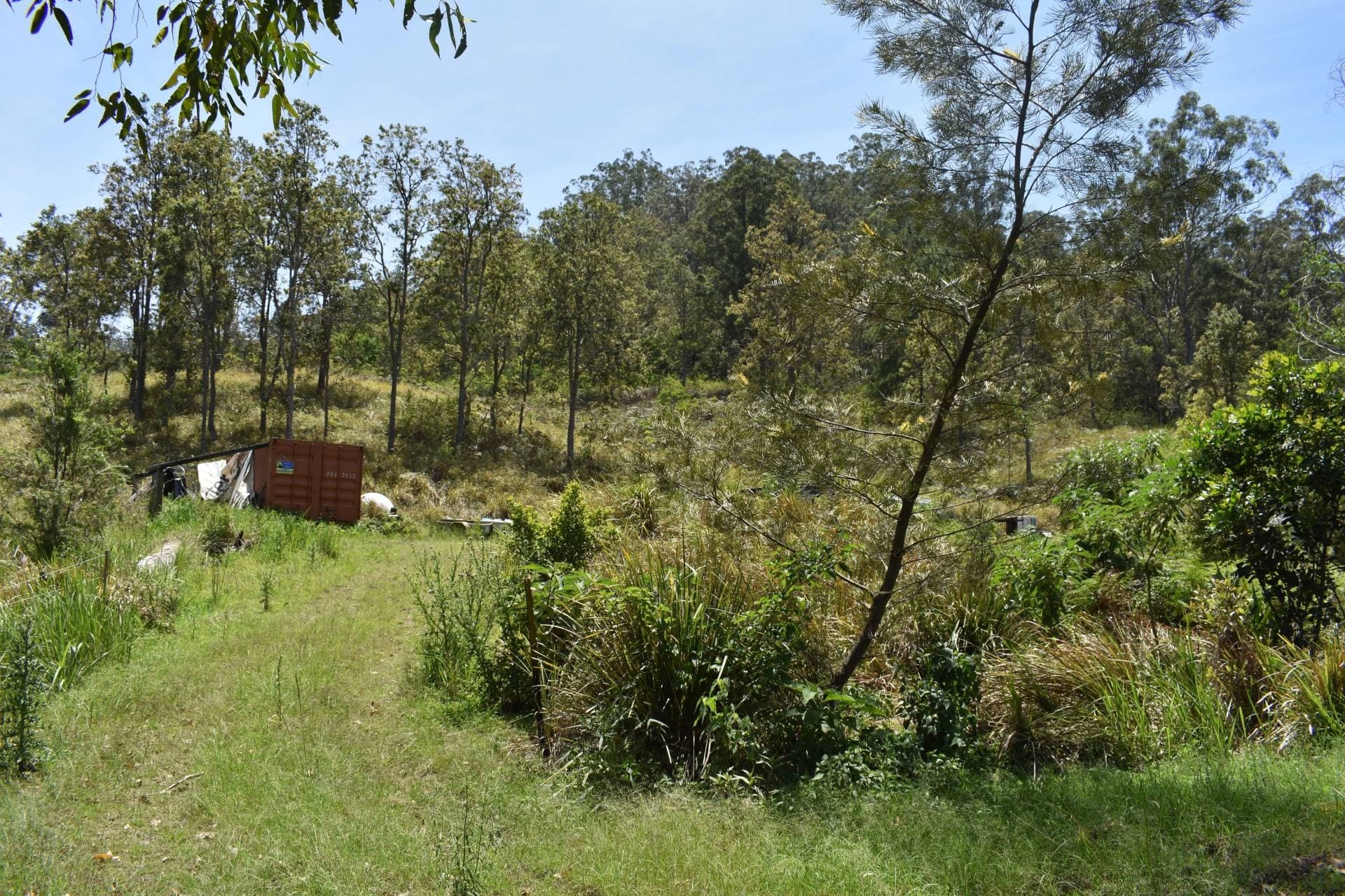 Lot 11 Blackhorse Creek, Kyogle - Thumbnail 2