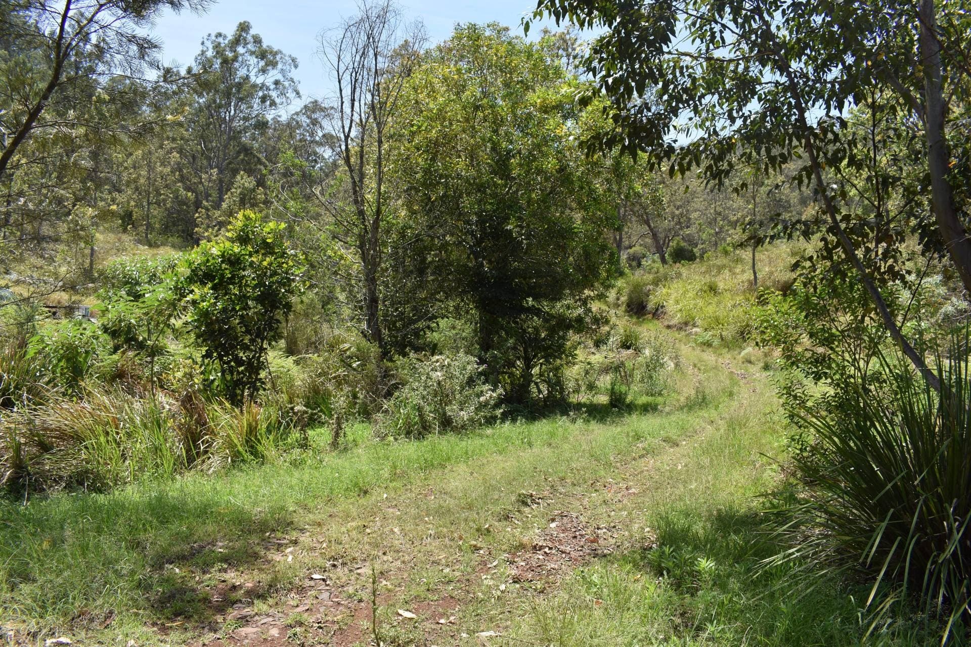 Lot 11 Blackhorse Creek, Kyogle - Thumbnail 3