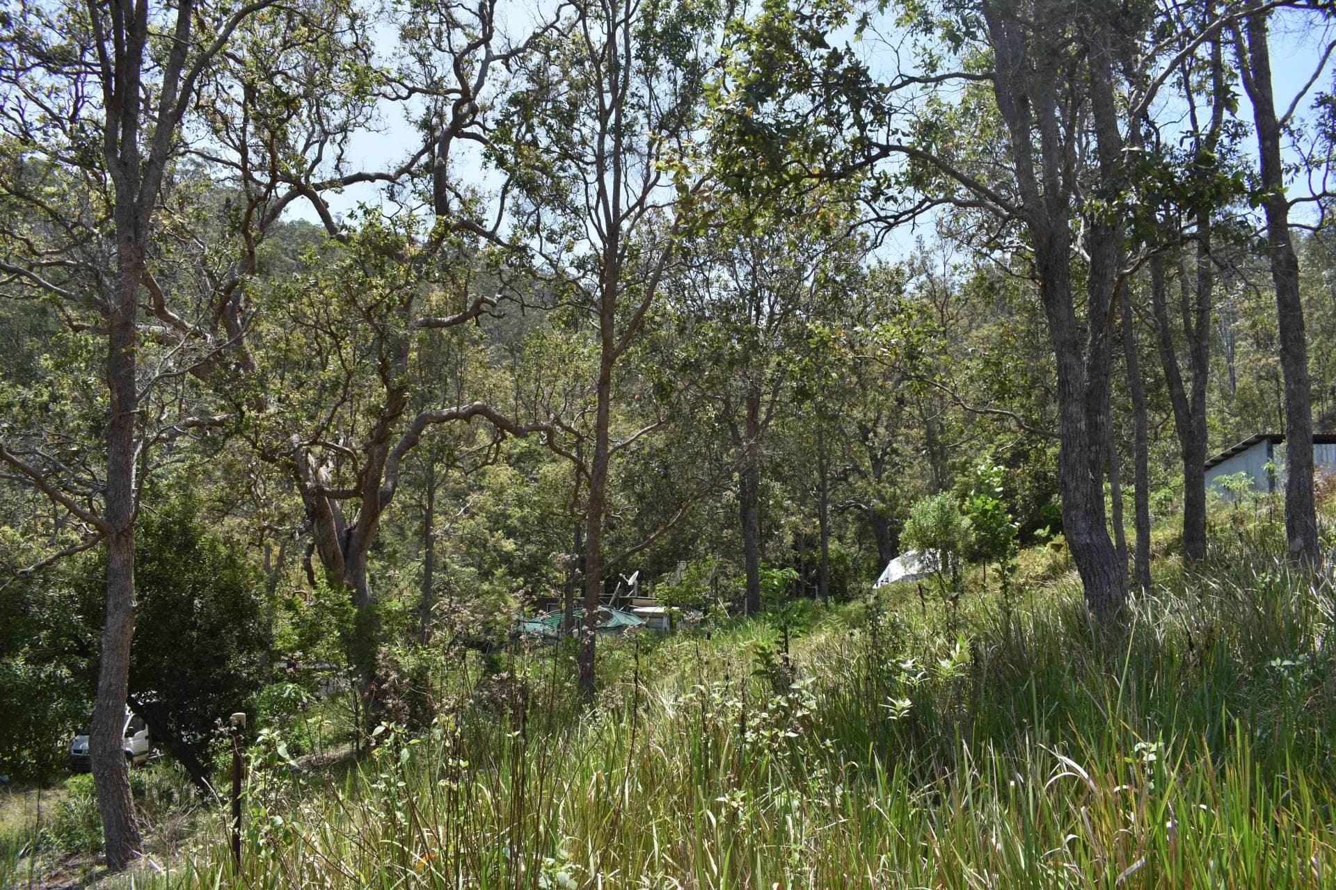 Lot 11 Blackhorse Creek, Kyogle - Thumbnail 4
