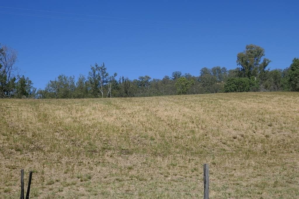Lot 1 Brindle Creek Road, Kyogle - Thumbnail 4