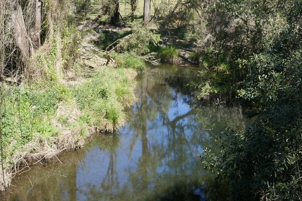 Lot 1 Brindle Creek Road, Kyogle - Thumbnail 5