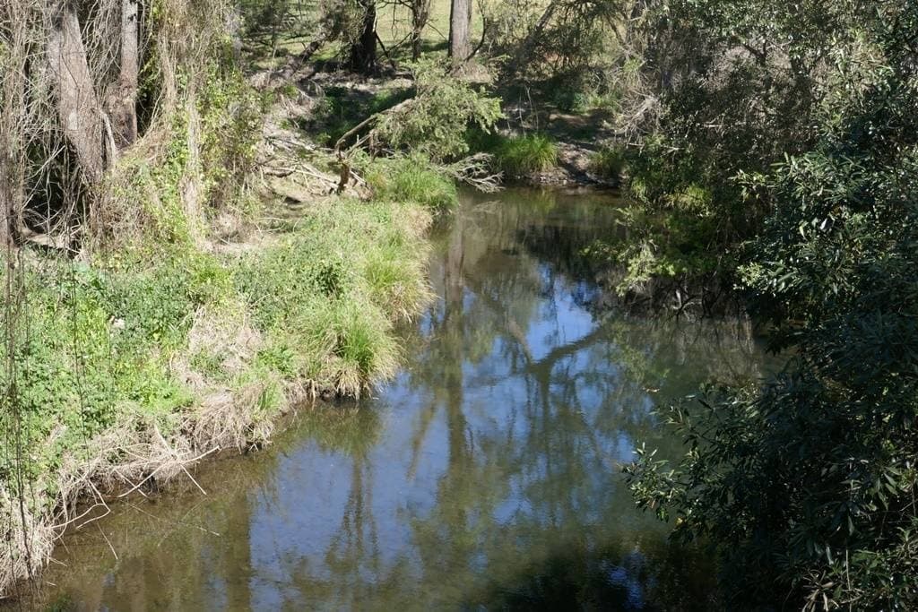 Lot 1 Brindle Creek Road, Kyogle - Thumbnail 6