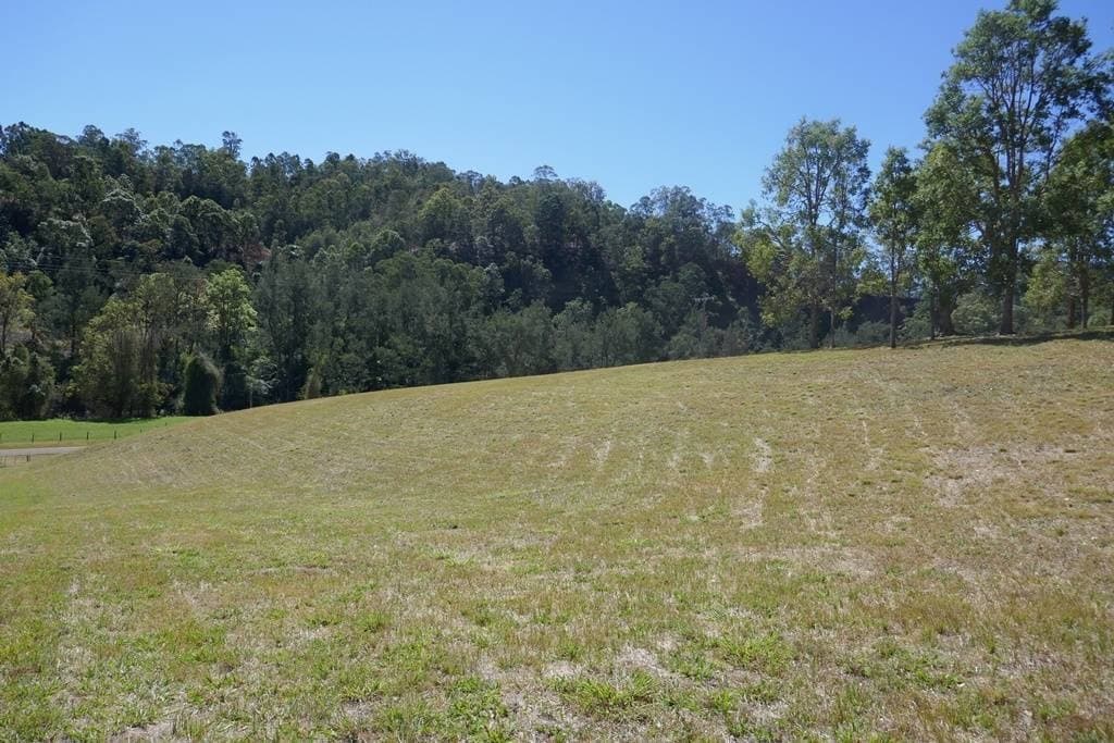 Lot 1 Brindle Creek Road, Kyogle - Thumbnail 8