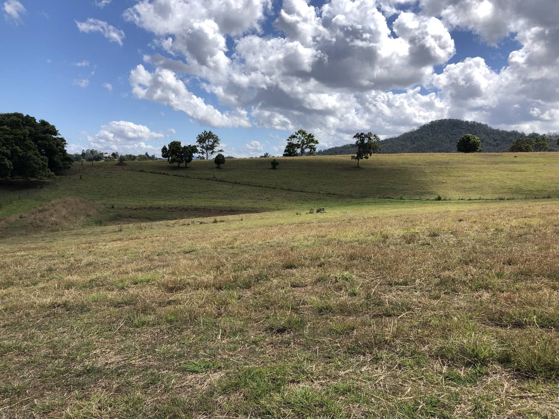 Lot 15 Kyogle Views Estate, Kyogle - Thumbnail 6