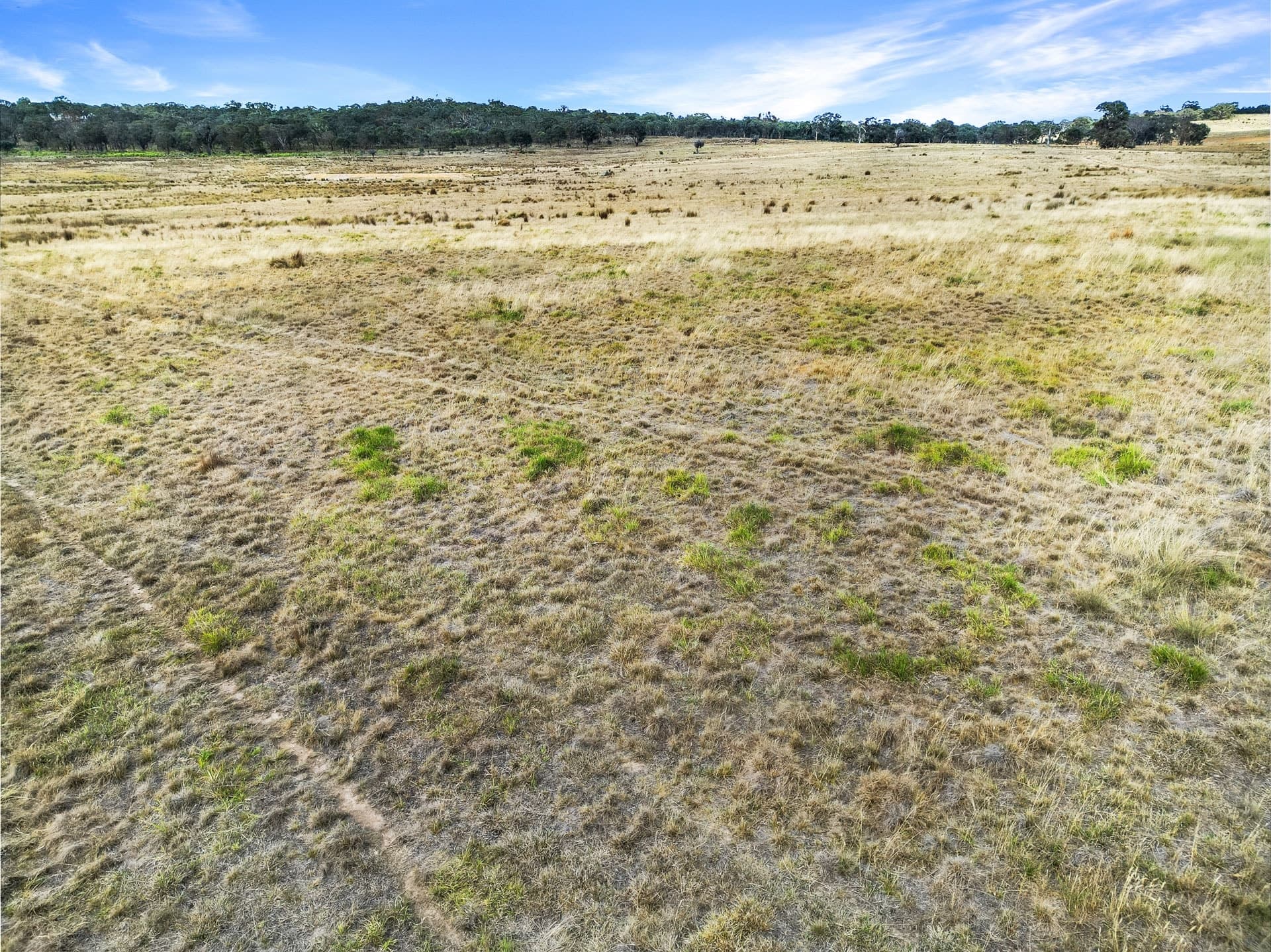 Lots 92, 255 Felled Timber Road (Dalton), Gunning, Gunning - Thumbnail 3