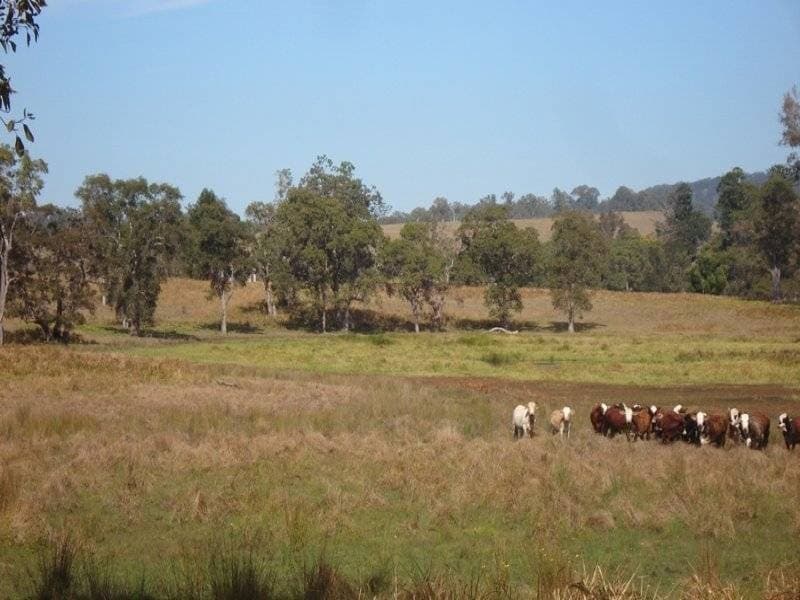 L105 Dyraaba Road, Kyogle - Image 1