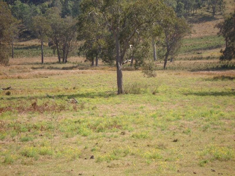 L105 Dyraaba Road, Kyogle - Thumbnail 2