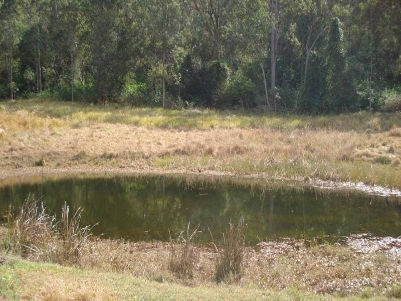 L105 Dyraaba Road, Kyogle - Thumbnail 3