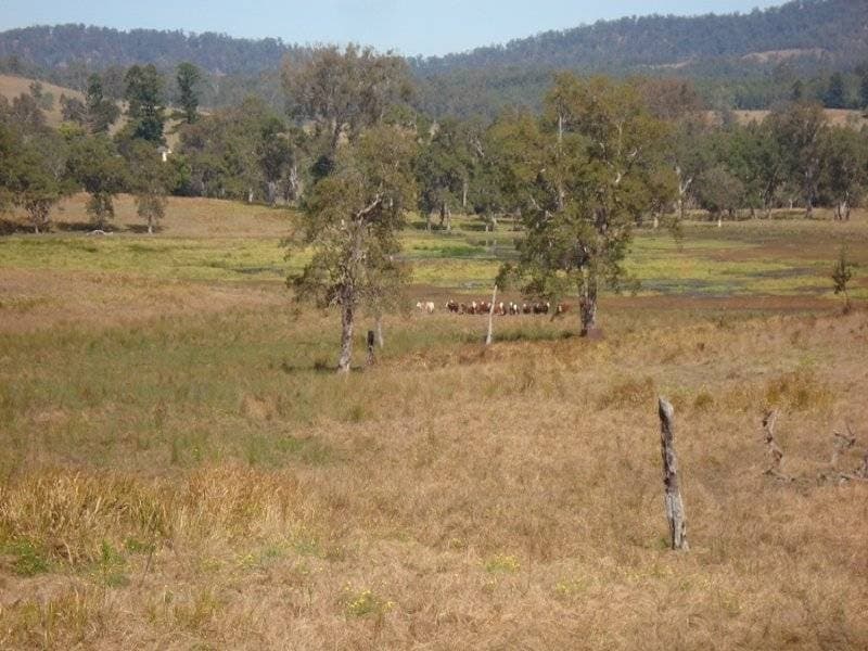 L105 Dyraaba Road, Kyogle - Thumbnail 5