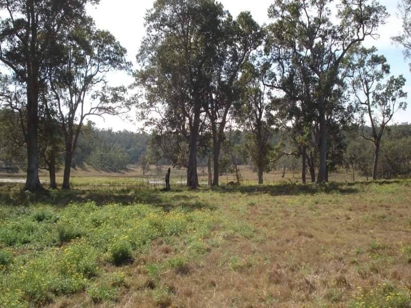 L105 Dyraaba Road, Kyogle - Thumbnail 8