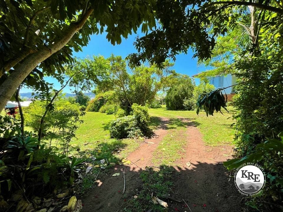 10 Saville Steet, Kyogle - Image 1