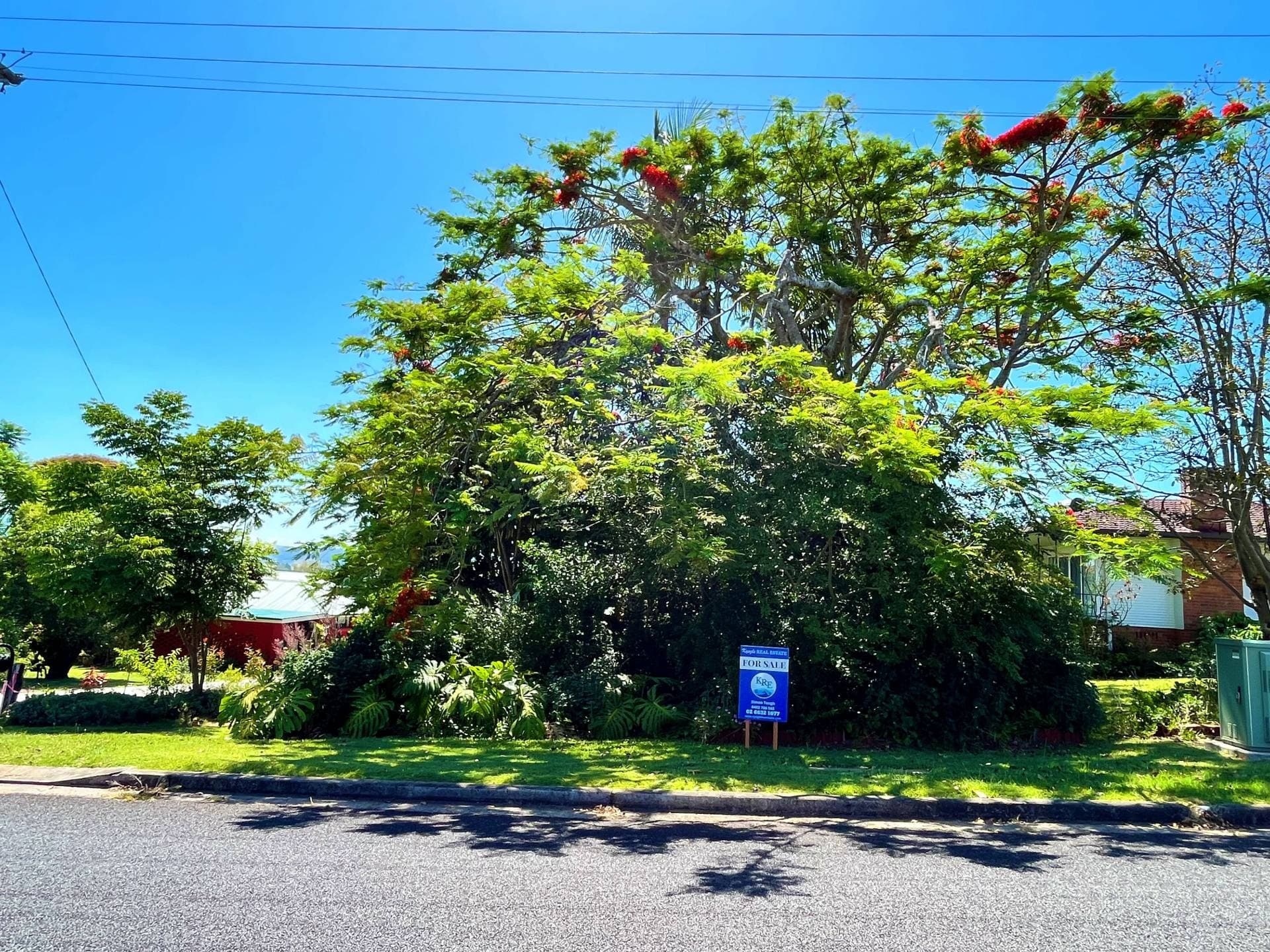 10 Saville Steet, Kyogle - Thumbnail 2