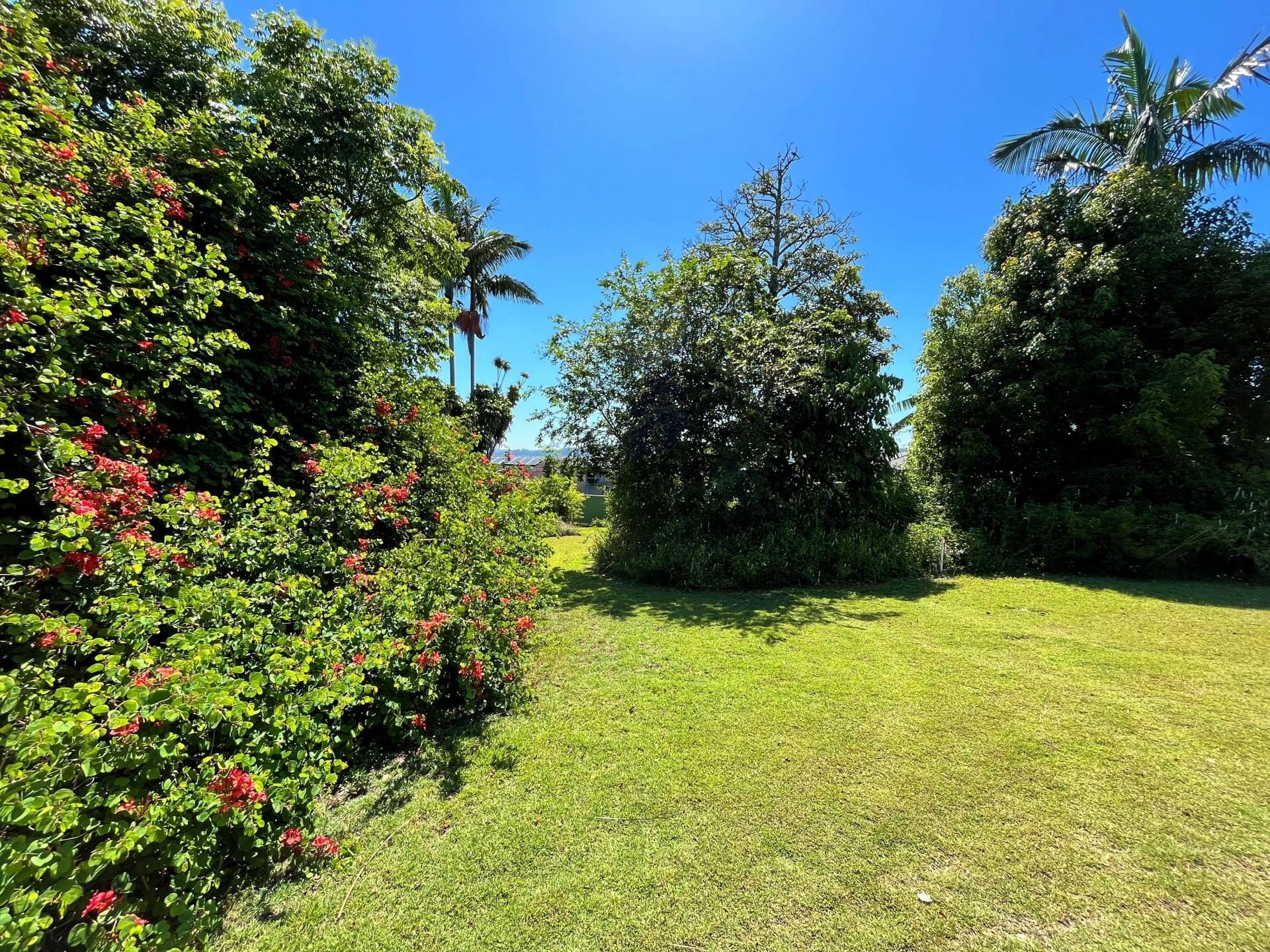 10 Saville Steet, Kyogle - Thumbnail 6