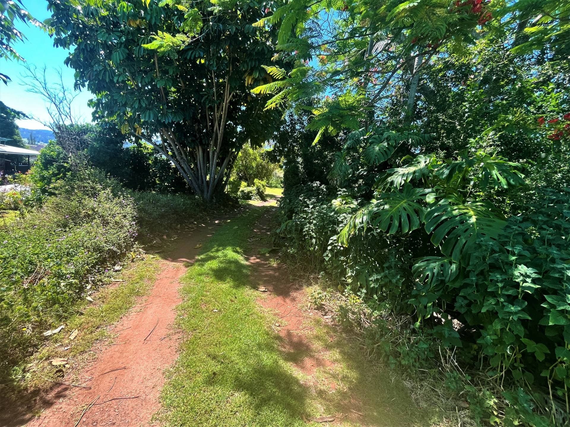 10 Saville Steet, Kyogle - Thumbnail 8