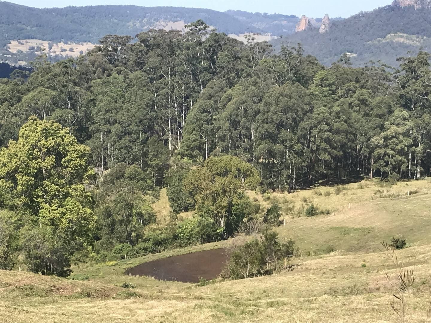 140 Stangers Road, Nimbin - Image 1