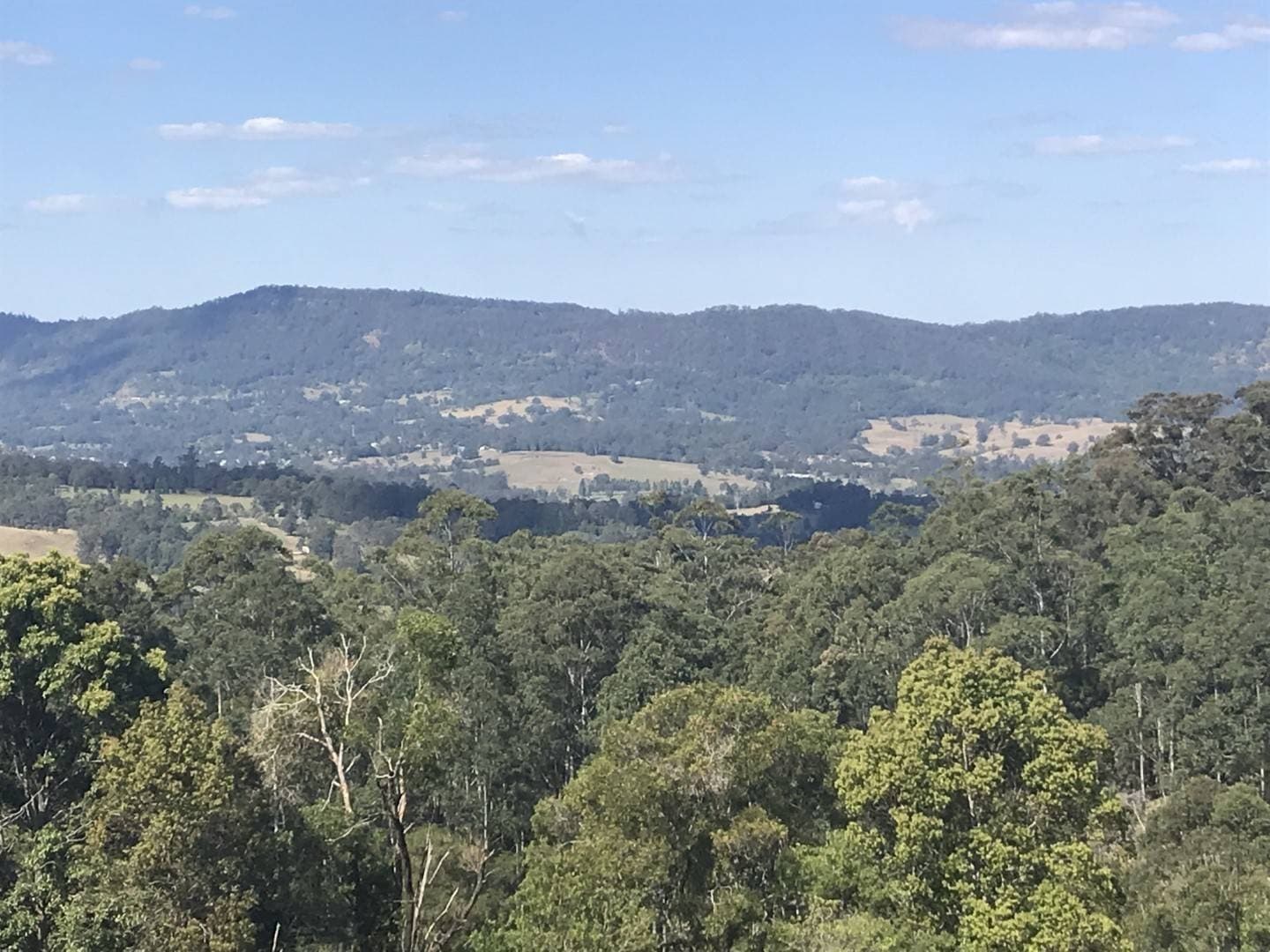 140 Stangers Road, Nimbin - Thumbnail 6