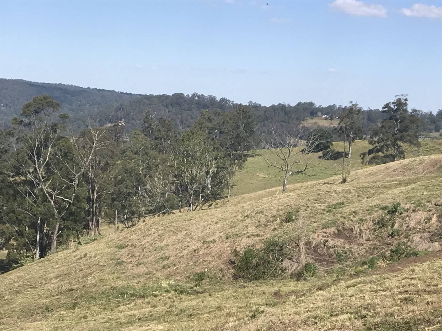 140 Stangers Road, Nimbin - Thumbnail 7