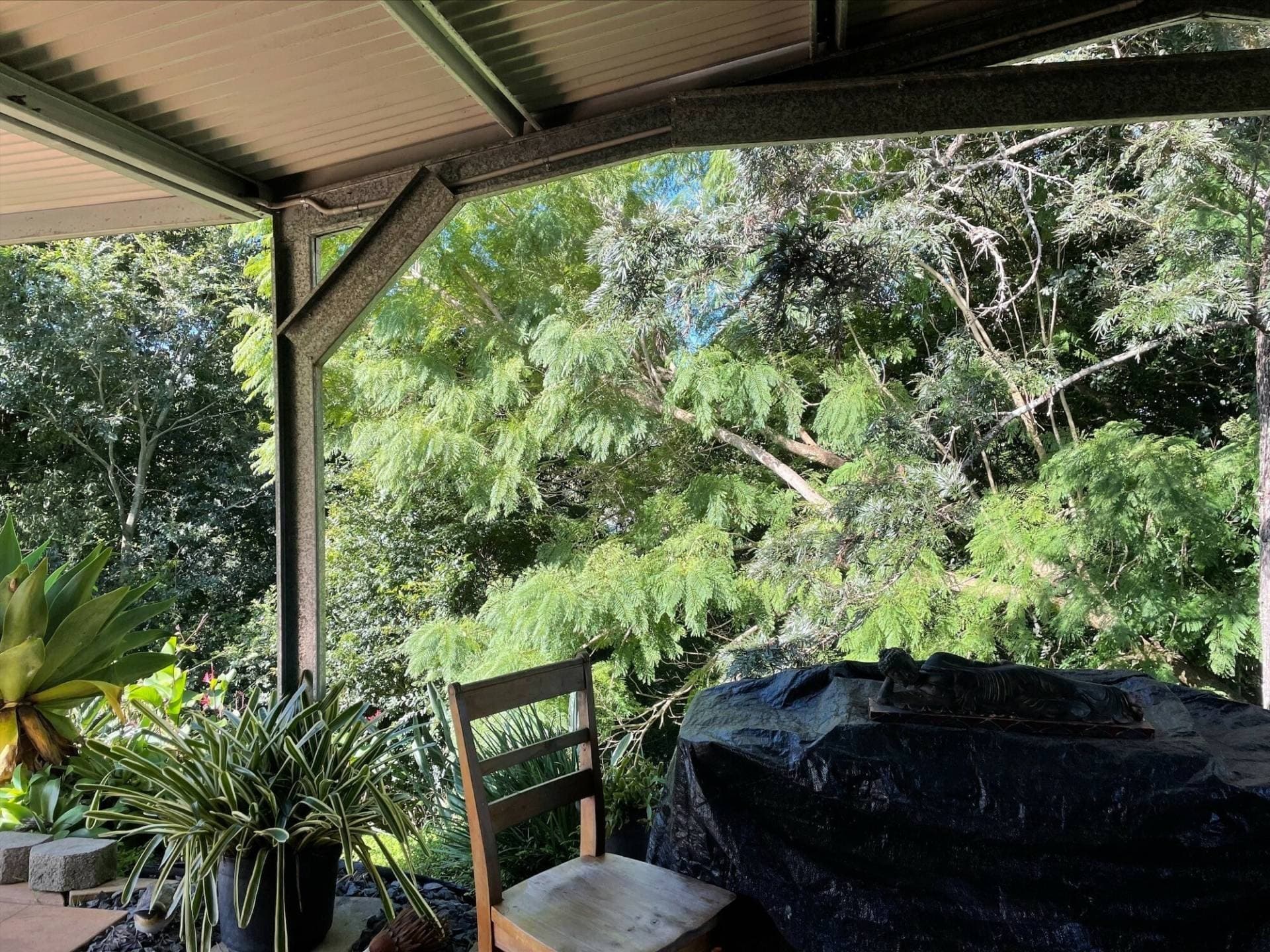 3 Hale St, Kyogle - Thumbnail 5