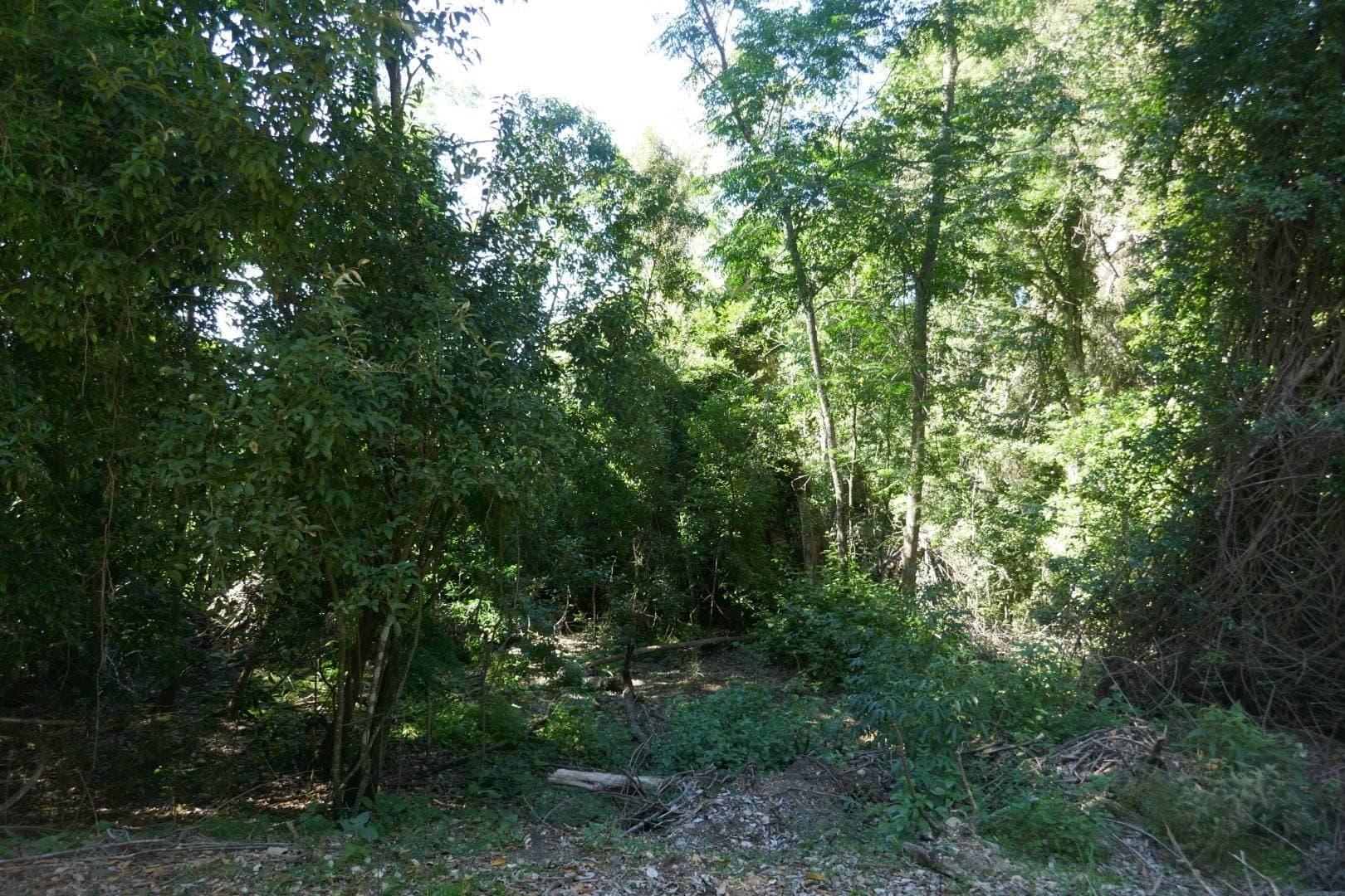 450 Sykes Gap Road, Tenterfield - Thumbnail 2