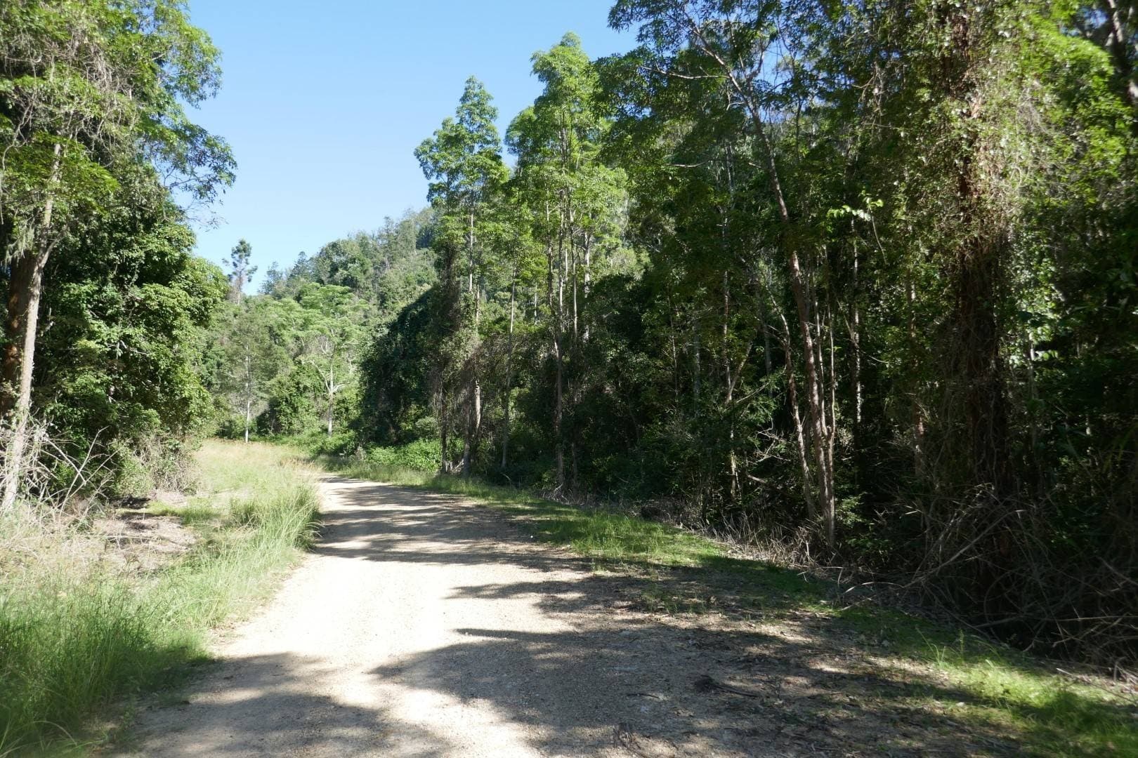 450 Sykes Gap Road, Tenterfield - Thumbnail 3