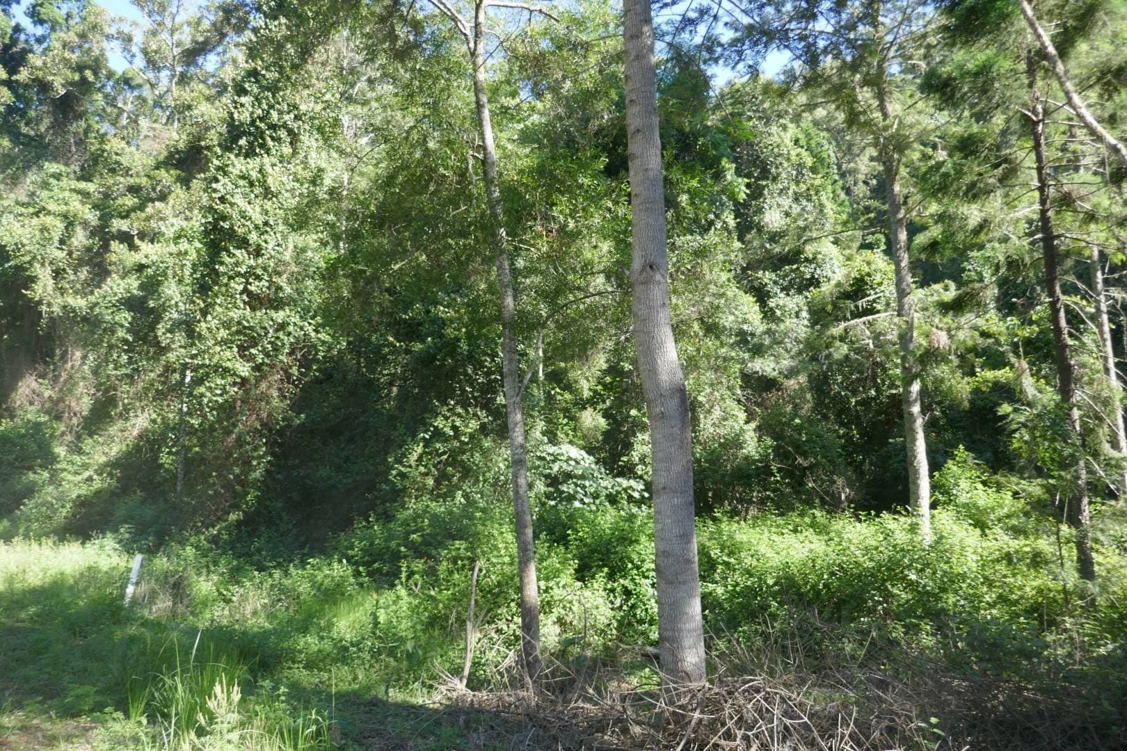 450 Sykes Gap Road, Tenterfield - Thumbnail 4