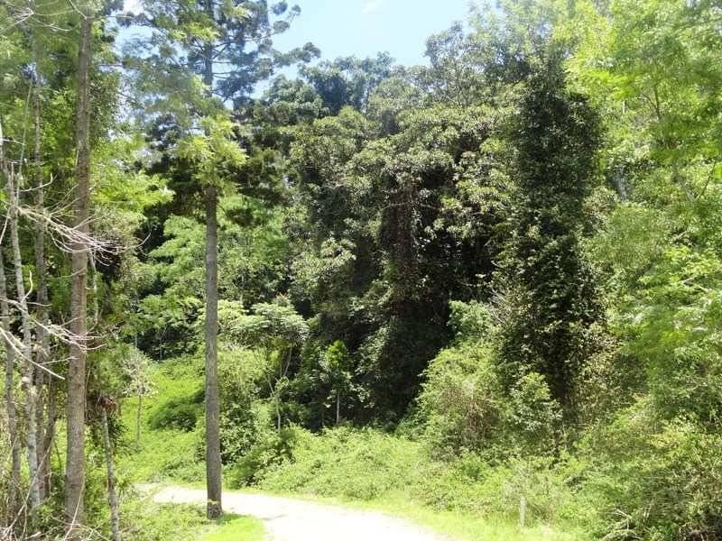 450 Sykes Gap Road, Tenterfield - Thumbnail 7