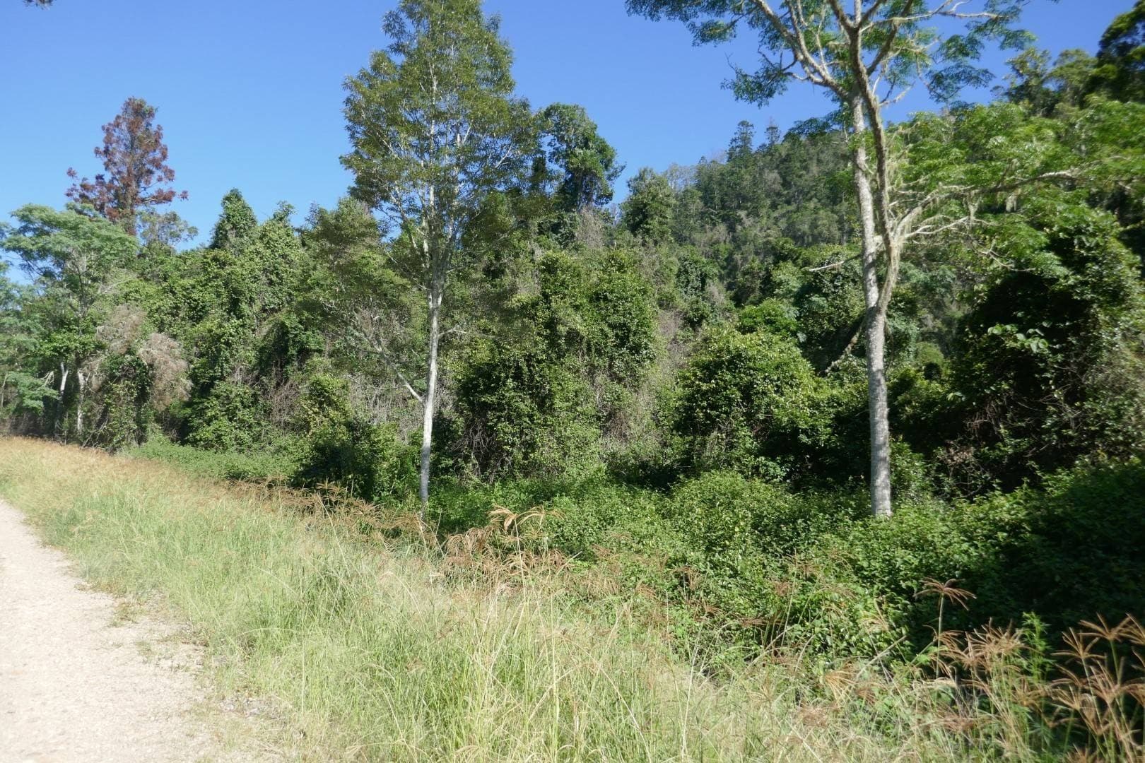 450 Sykes Gap Road, Tenterfield - Thumbnail 8