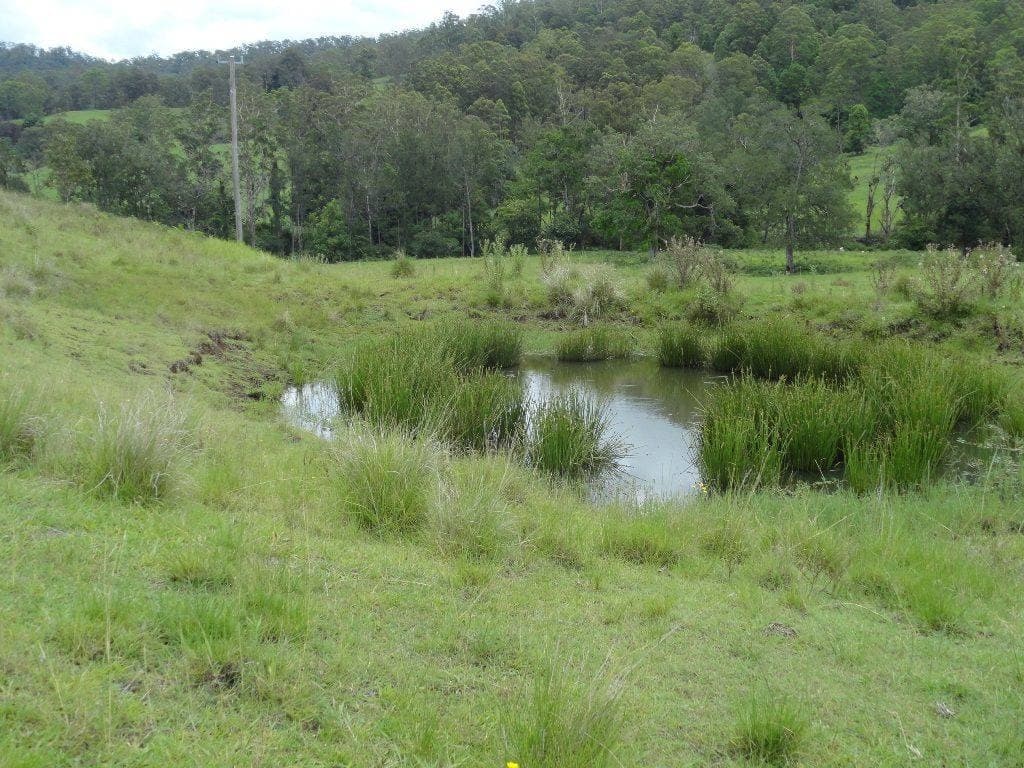 1146 Lynchs Creek Road, Kyogle - Thumbnail 5