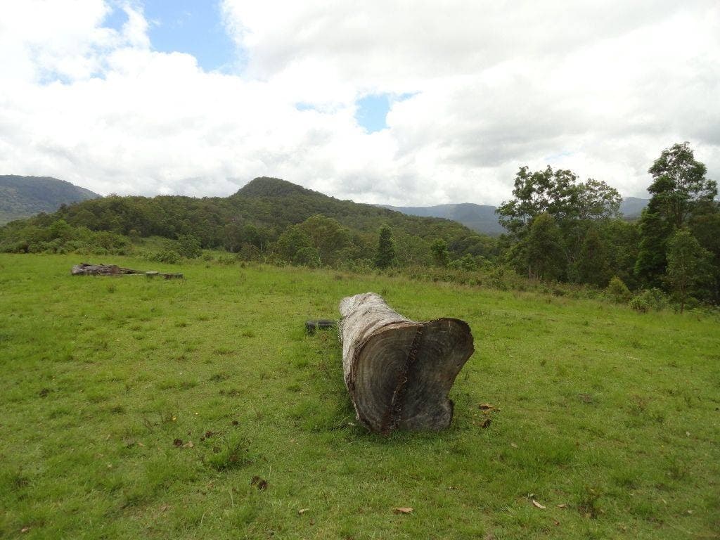 1146 Lynchs Creek Road, Kyogle - Thumbnail 7
