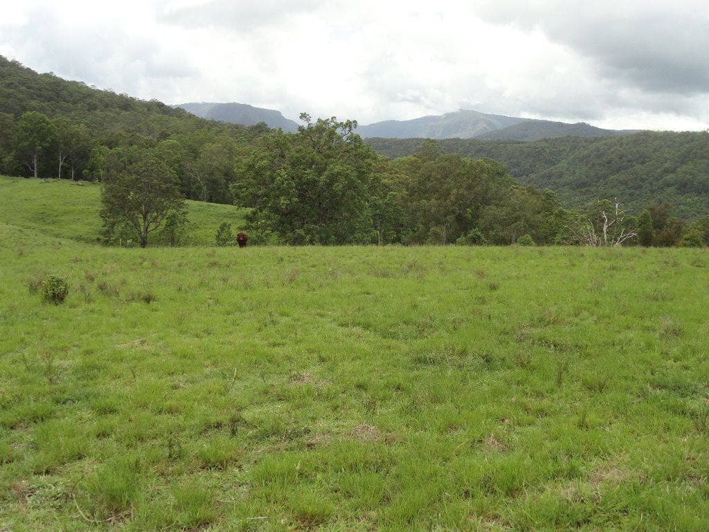 1146 Lynchs Creek Road, Kyogle - Thumbnail 8