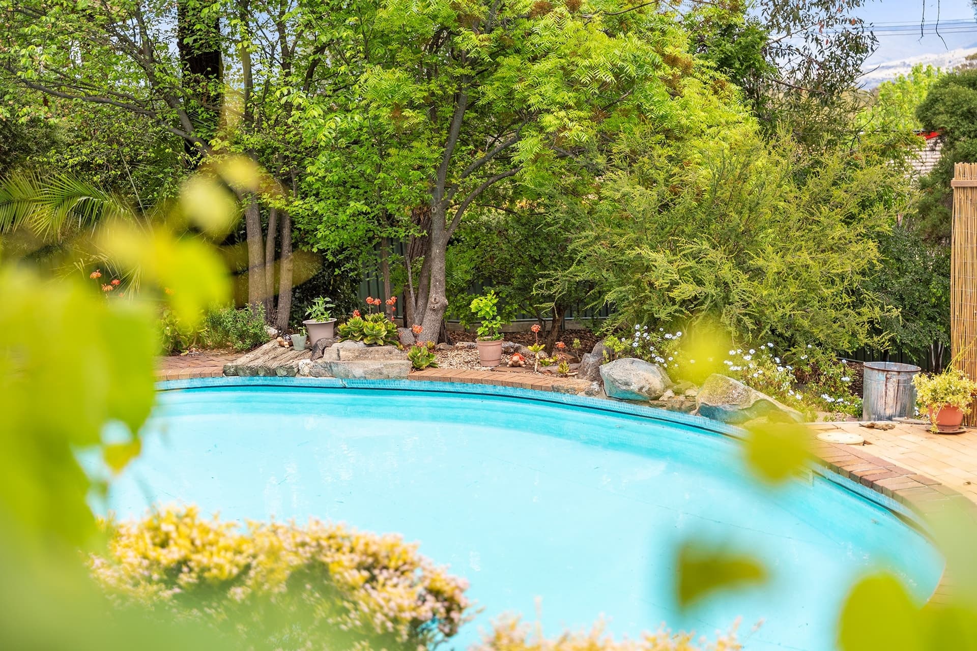 21 Adamson Crescent, Wanniassa ACT 2903, Wanniassa - Thumbnail 5