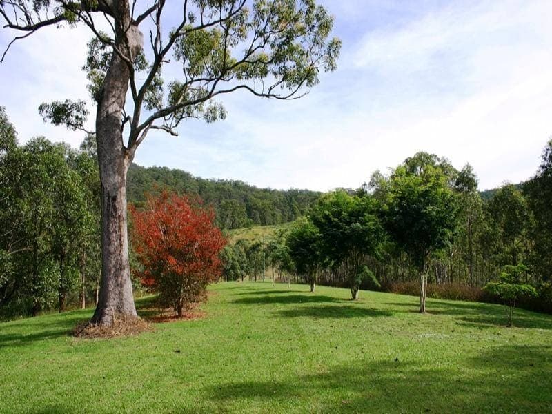 1590 Grady's Creek Road, Kyogle - Thumbnail 4