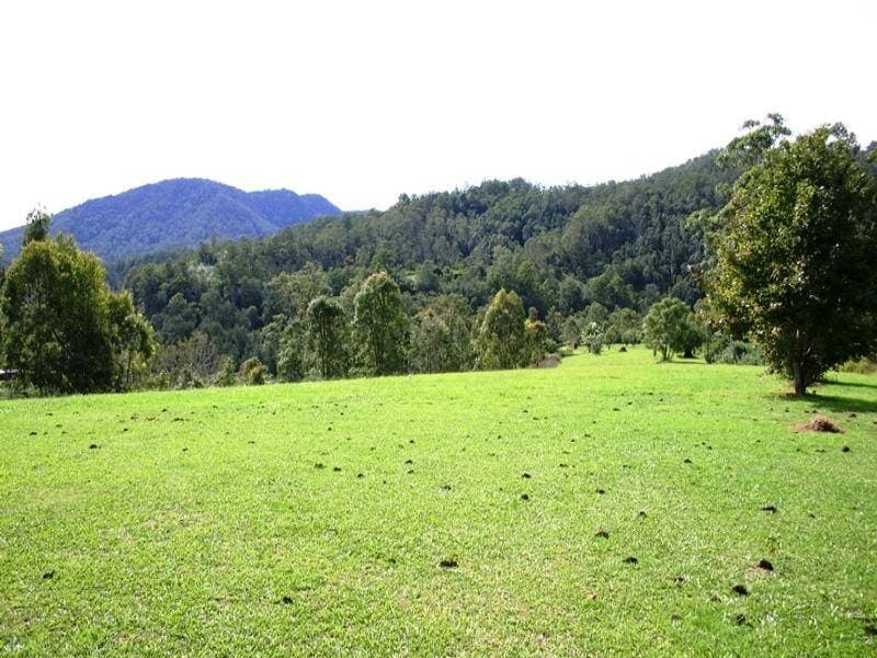1590 Grady's Creek Road, Kyogle - Thumbnail 5