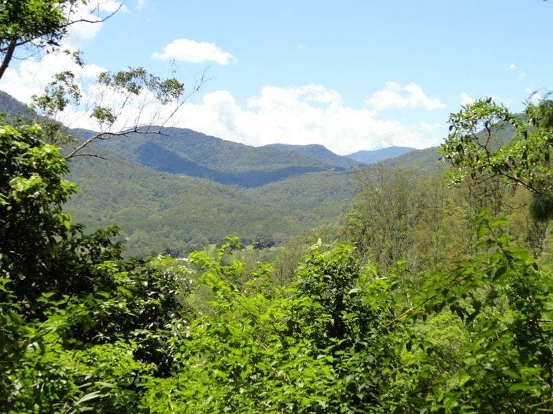 1347 GRADYS CREEK ROAD St, Kyogle - Image 1