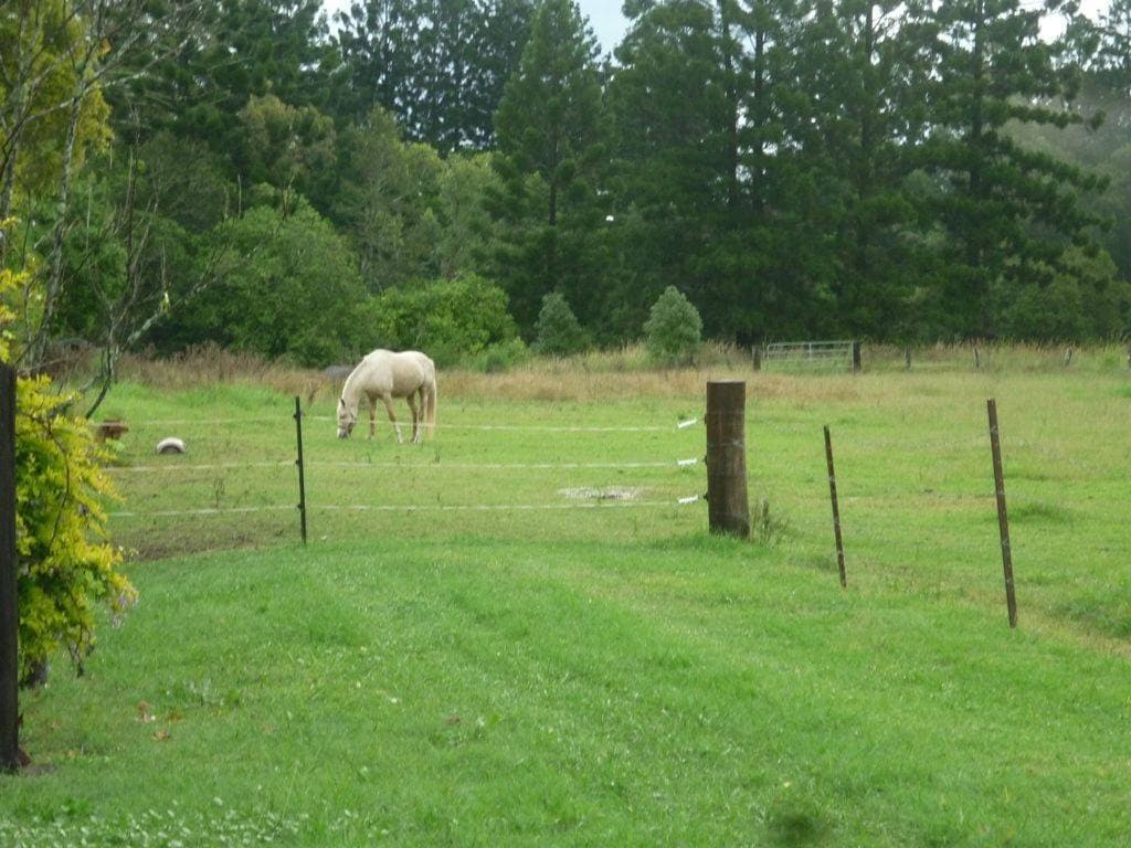 4 Little Lane St, Kyogle - Thumbnail 8