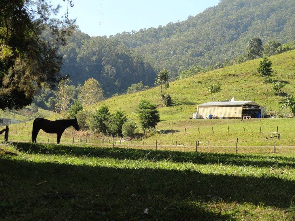 236 BOORABEE CREEK ROAD St, Kyogle - Image 1