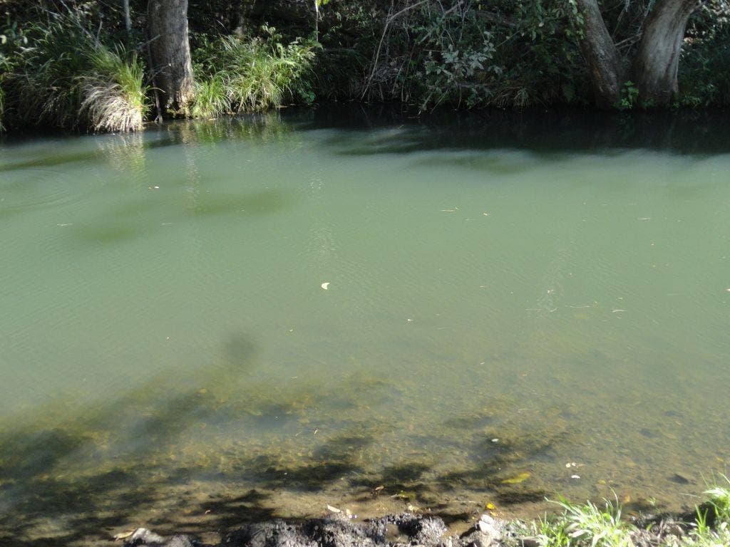 236 BOORABEE CREEK ROAD St, Kyogle - Thumbnail 2