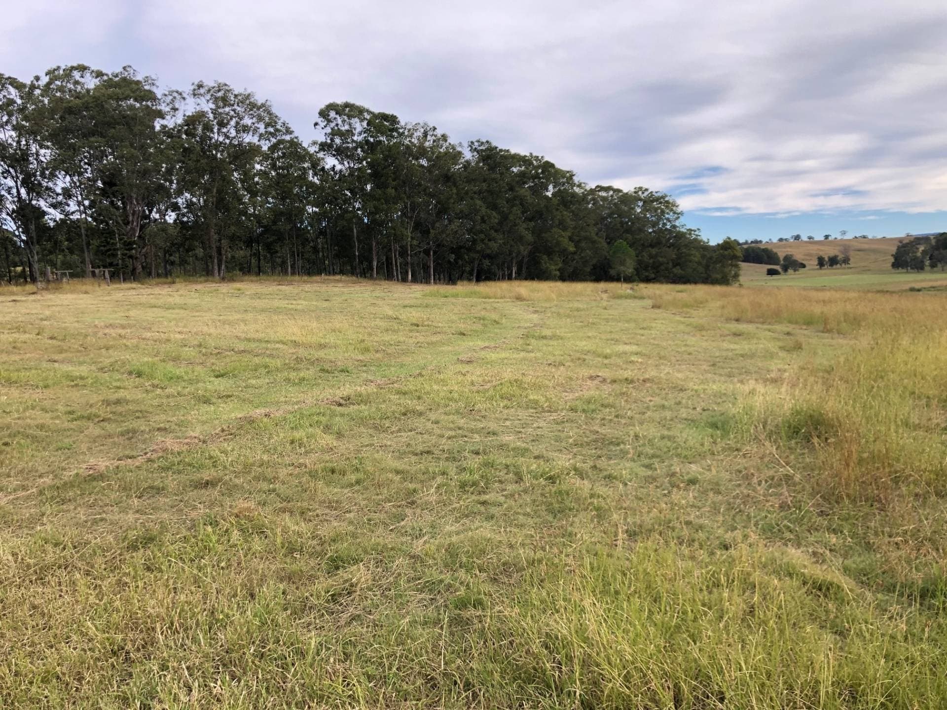 Lot 10 Old Dyraaba Road, Casino - Thumbnail 6