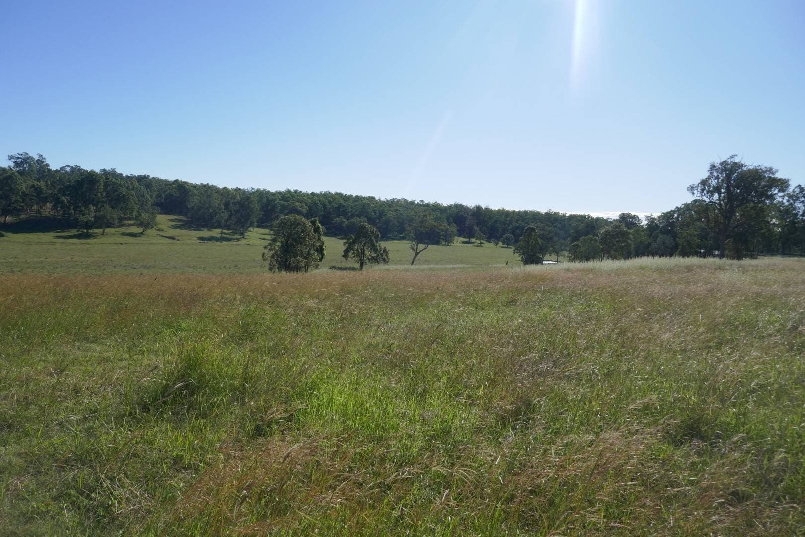 Lot 10 Old Dyraaba Road, Casino - Thumbnail 8
