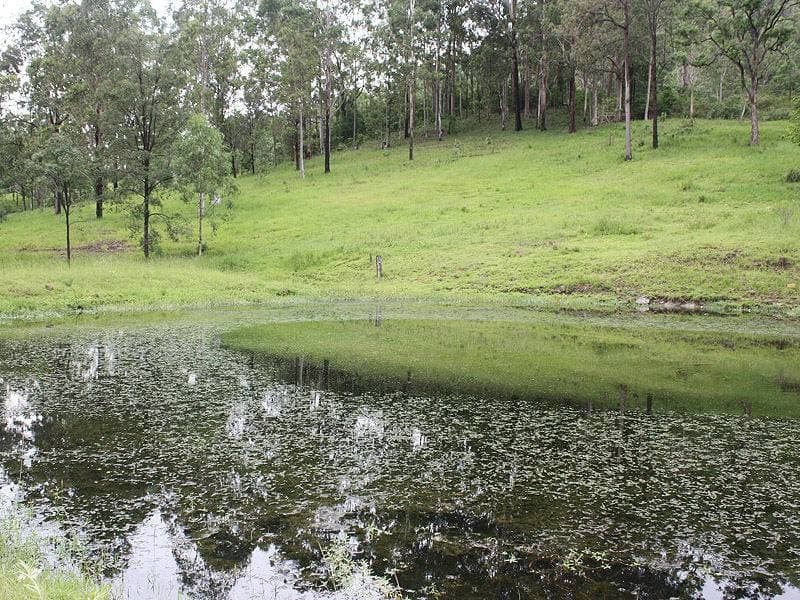 143 NEWTONS ROAD St, Kyogle - Thumbnail 2