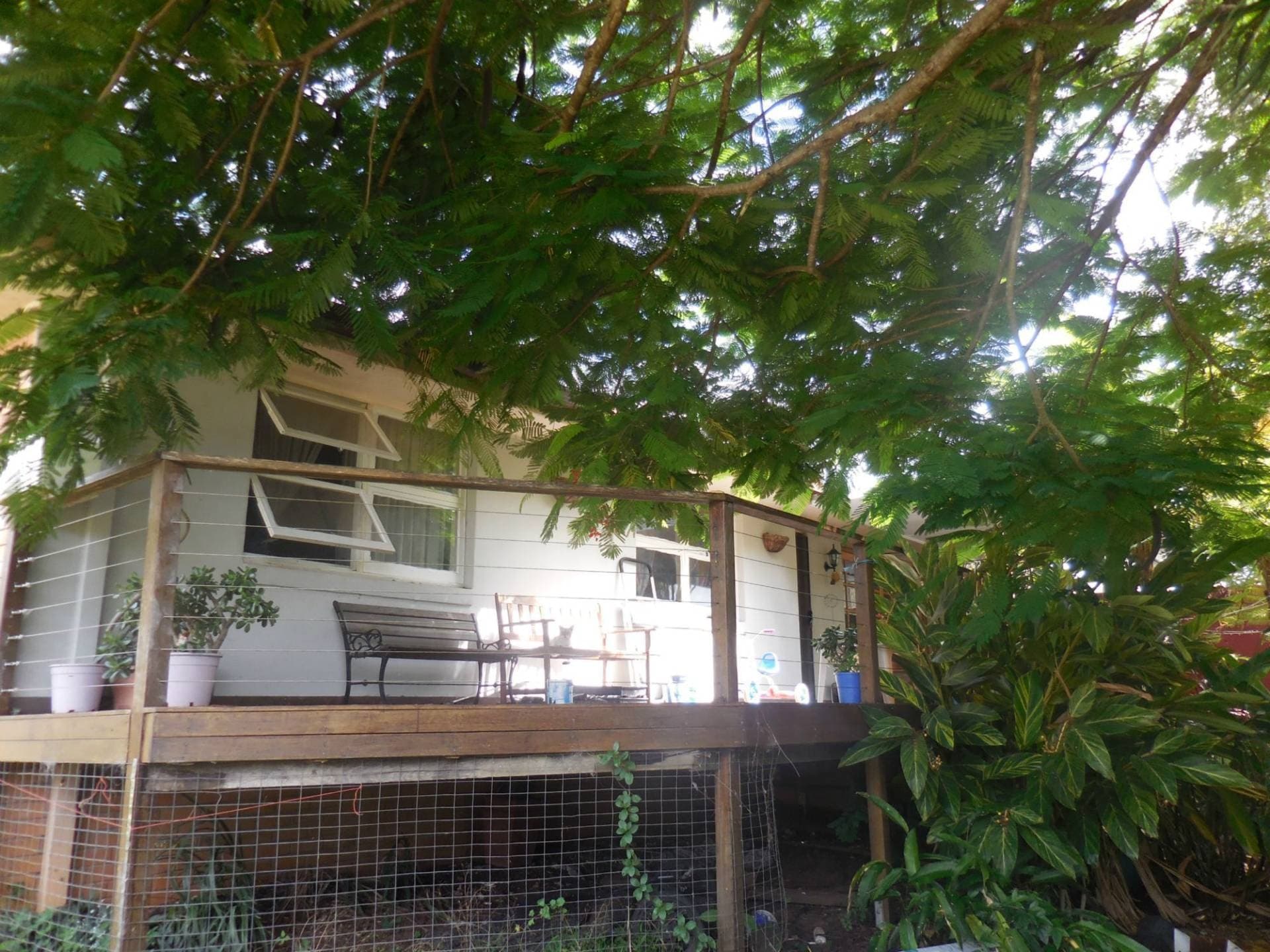 5 Marwick Street, Kyogle - Thumbnail 3