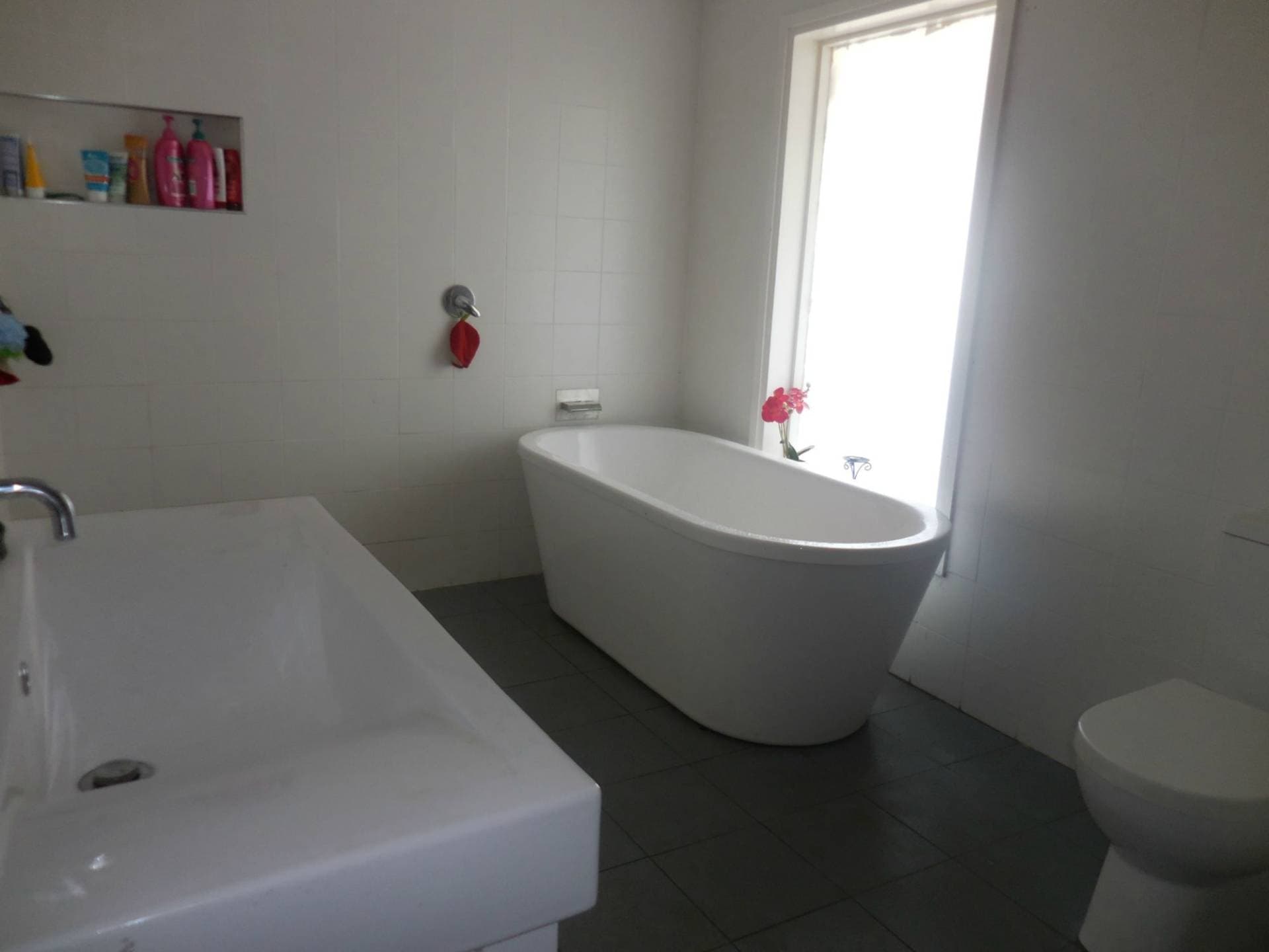5 Marwick Street, Kyogle - Thumbnail 4