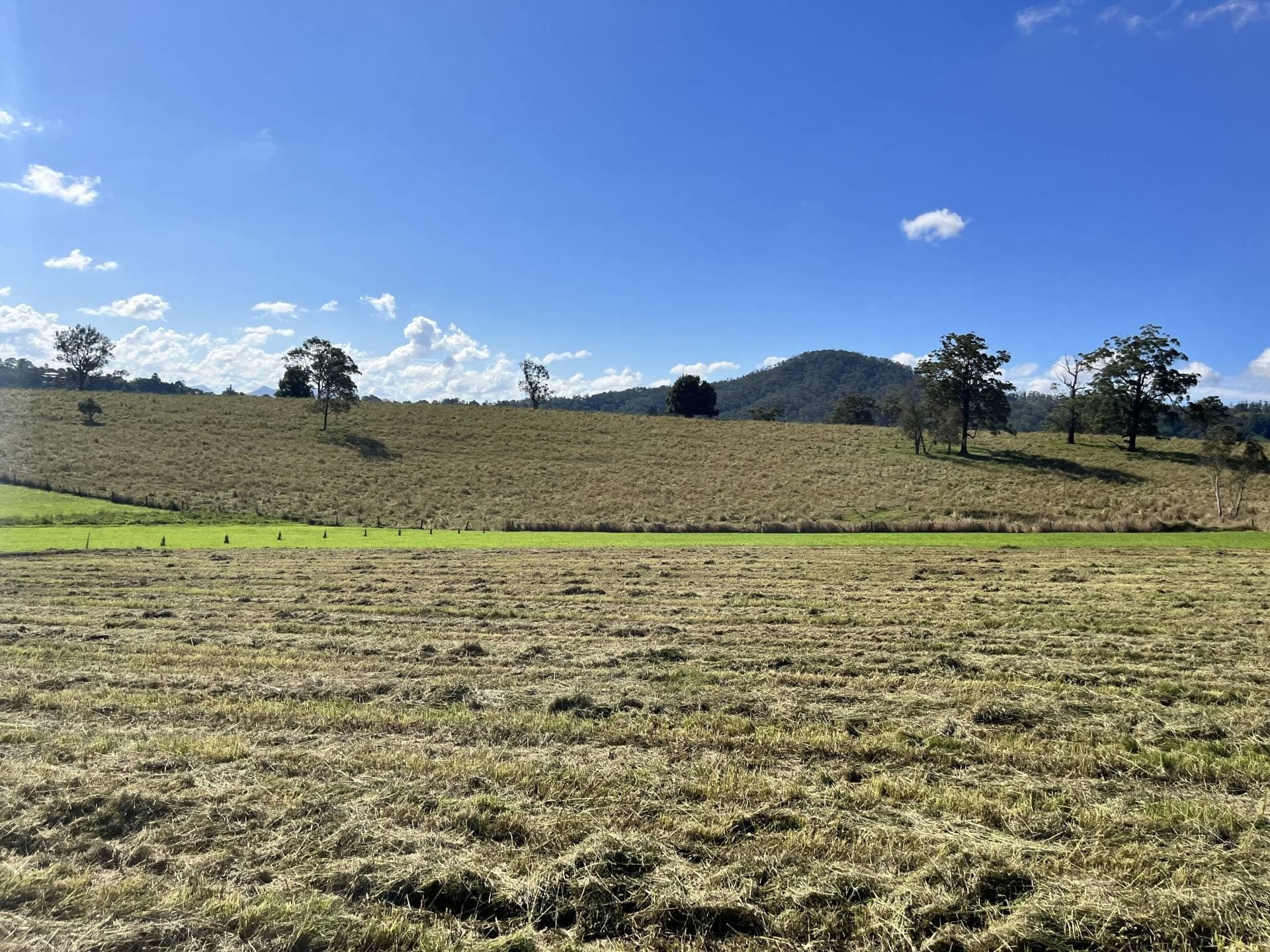 11 Yarraman Drive, Kyogle - Thumbnail 4