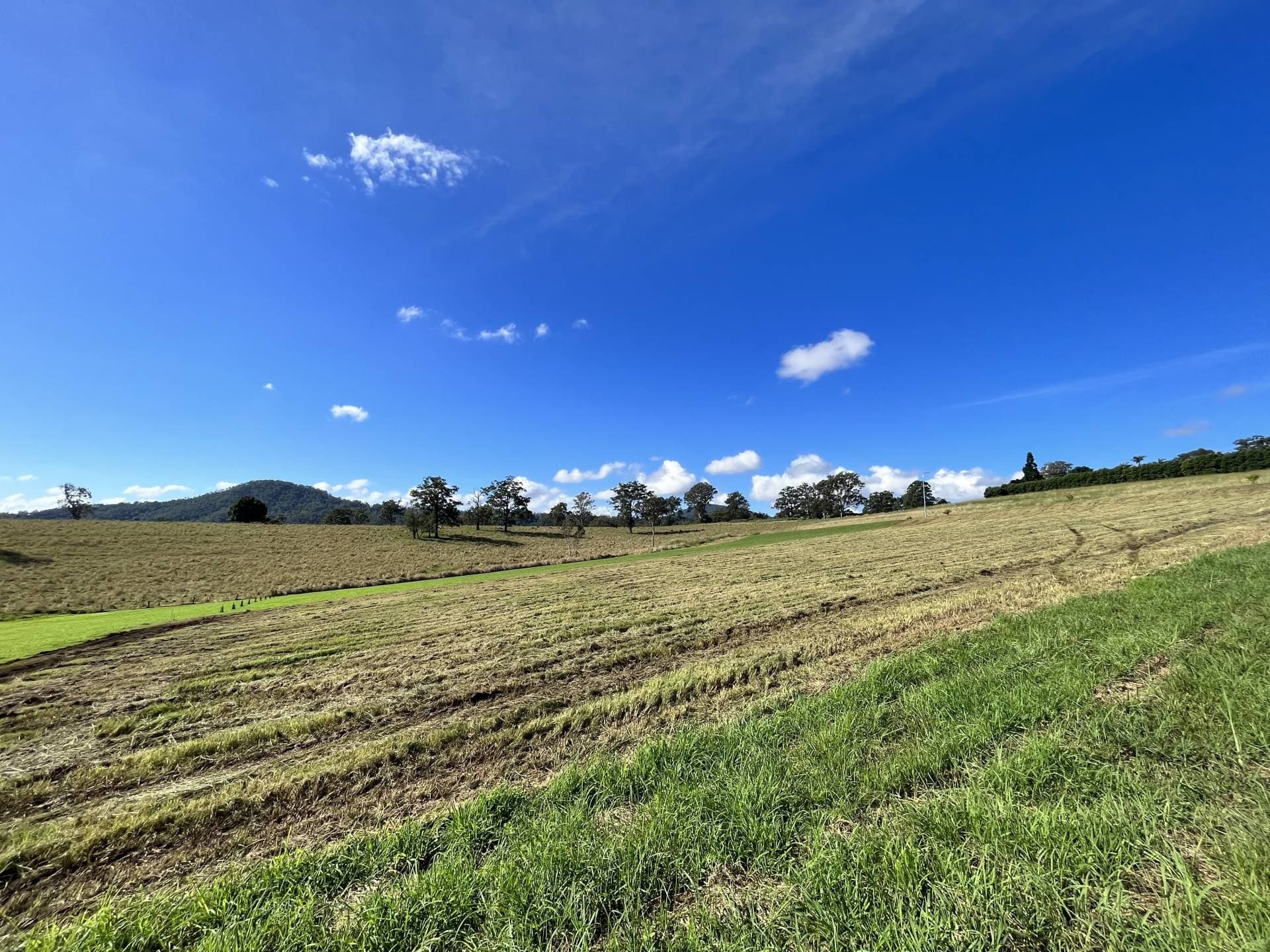 11 Yarraman Drive, Kyogle - Thumbnail 5
