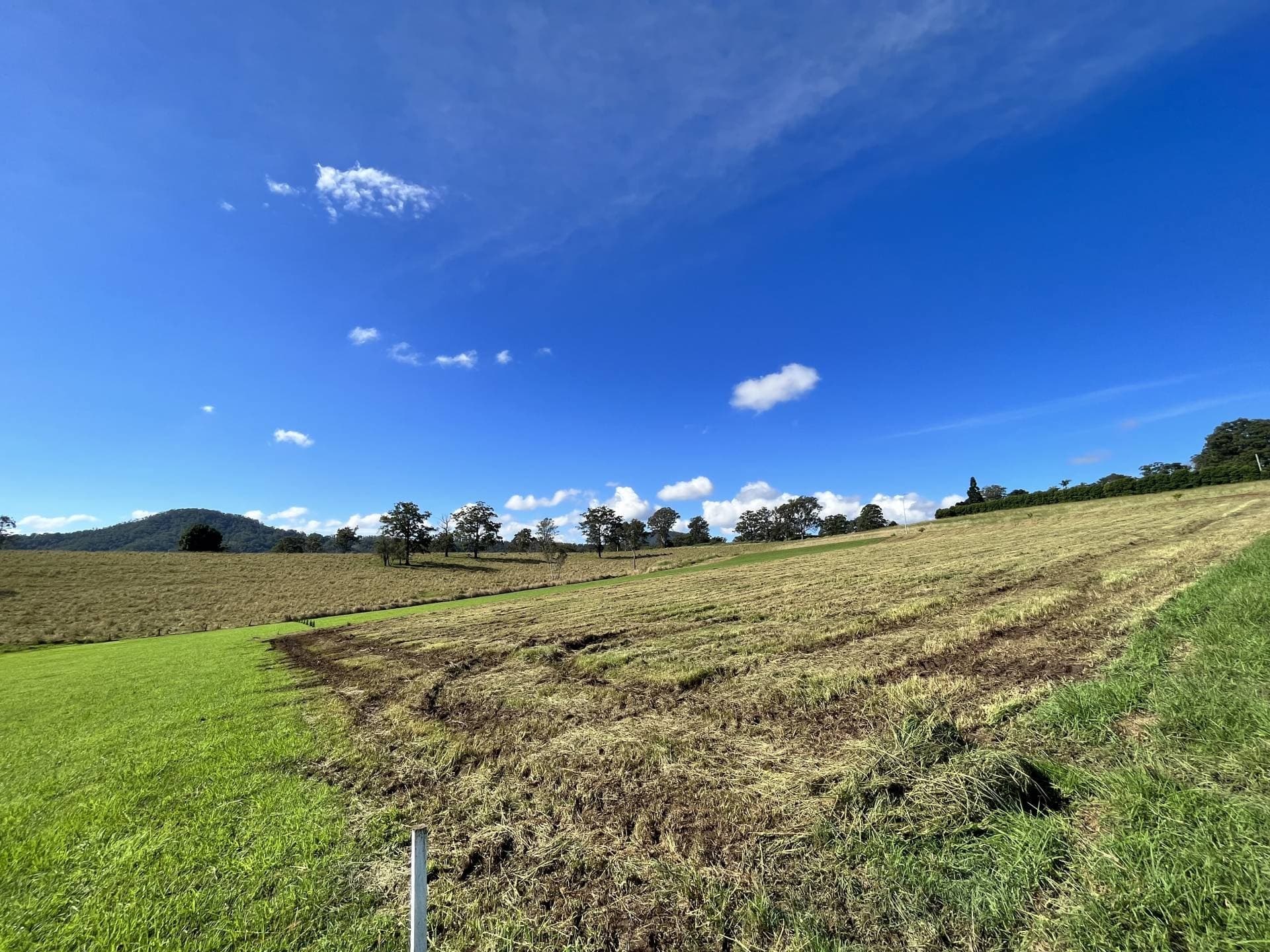 11 Yarraman Drive, Kyogle - Thumbnail 6